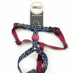 Harness Morso Power Flow